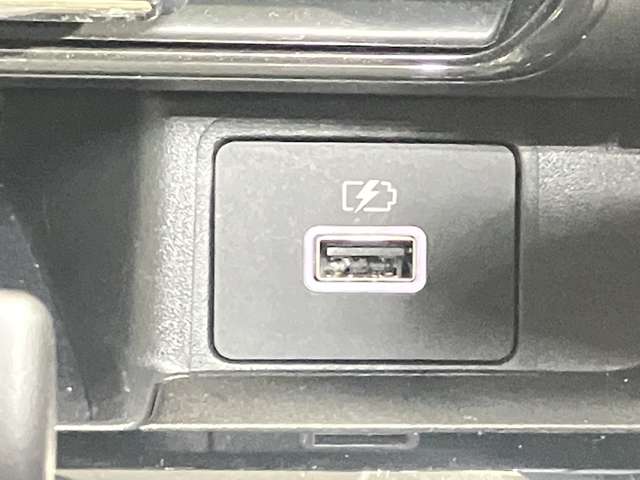 複数画像30