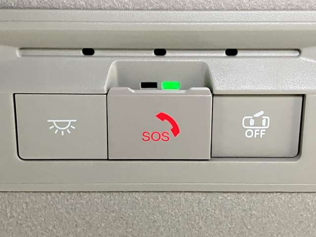複数画像30