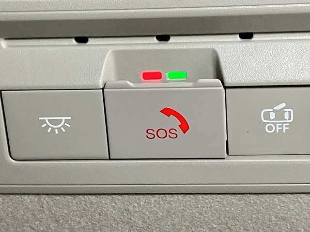 複数画像31