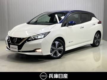 G 充電ケーブル付・メーカーOPナビ・全周囲カ