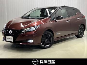 X Vセレクション ワンオーナー・充電ケーブル付・メーカーOP