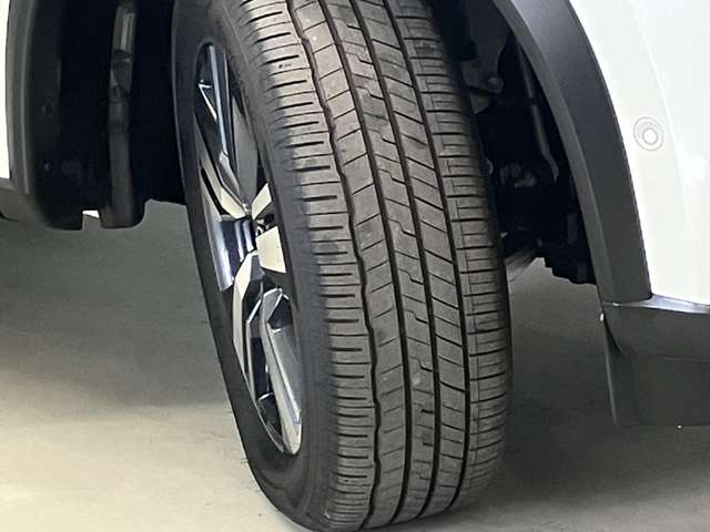 複数画像51