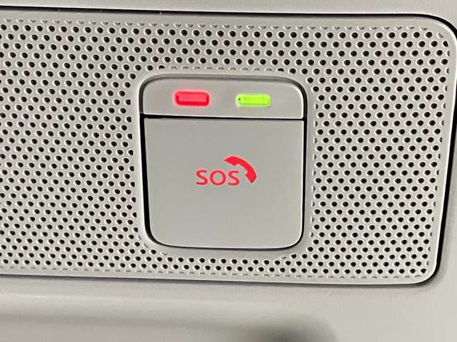 複数画像30