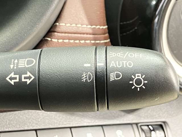 複数画像30