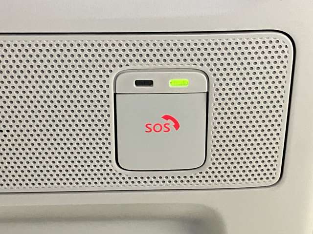 複数画像30