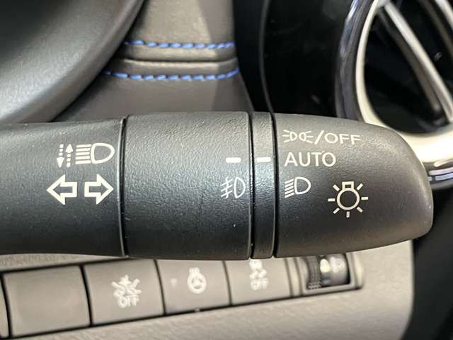 複数画像31
