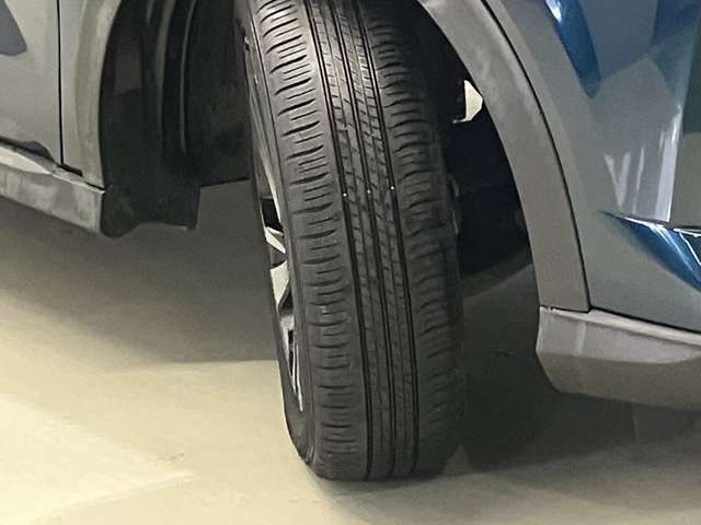 複数画像30