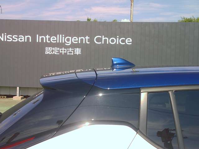 複数画像10