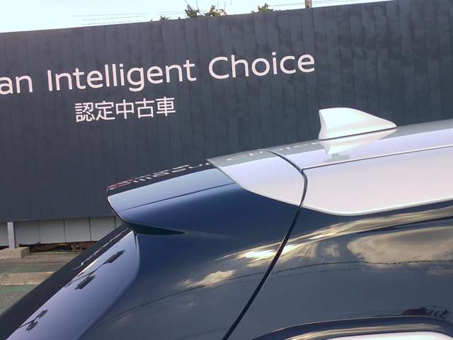 複数画像10