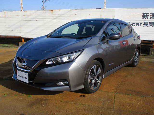 新潟日産自動車株式会社 上越店 新潟県 リーフ 日産の在庫詳細から中古車を探す 日産公式中古車検索サイト