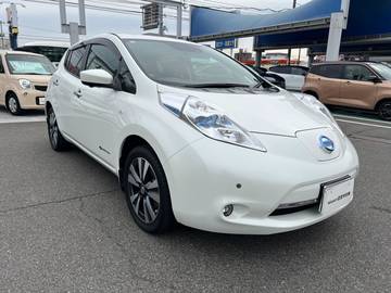 30kWh G ワンオーナーナビアラウンドビュー