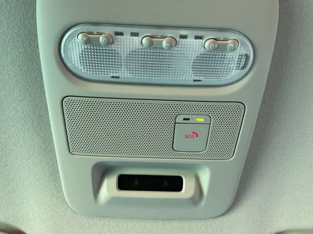 複数画像31