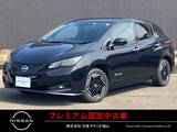 日産 リーフ e+ X プロパイロット　NCナビ　ツインDレコ