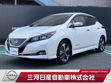 e+ G 黒革シート・プロパイロット・BOSEスピーカ