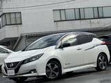 日産 リーフ G 純正ナビ　全周囲カメラ　プロパイロット