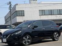 日産 リーフ X 衝突軽減ブレーキ　踏み間違い　純正ナビ