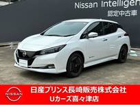 日産 リーフ e+ G カーナビ　プロパイロット　アラウンドビュ