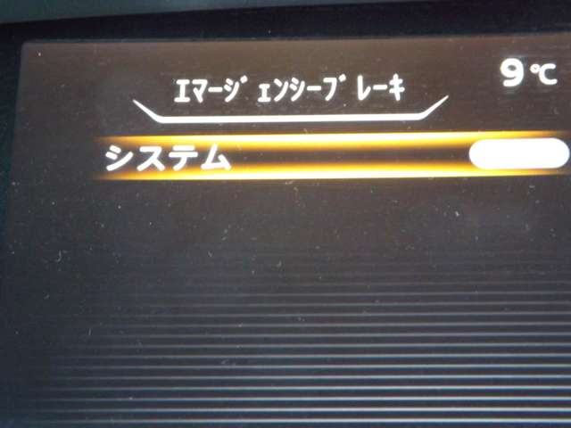 複数画像11