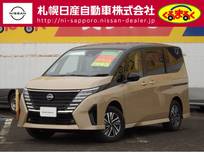 日産 セレナ 2000cc 2.0 ハイウェイスターV 4WD メーカー装着ナビゲーション　防水シート