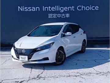 リーフ X Vセレクション 元当社試乗車・純正ナビ・TV・バック/アラ