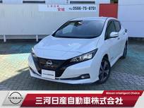 日産 リーフ e+ G メーカーナビ プロパイロット 全周囲カメラ