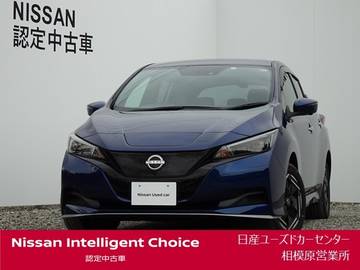 e+ X 60kwh・ナビ・プロパイロット・寒冷地仕様