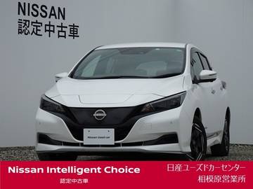 e+ X 60kwh・ナビ・プロパイロット・寒冷地仕様