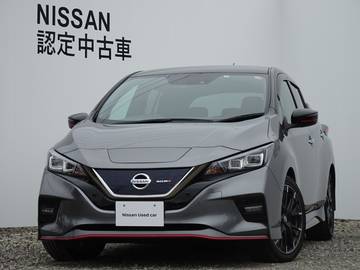 NISMO 40kwh・プロパイロット・寒冷地仕様