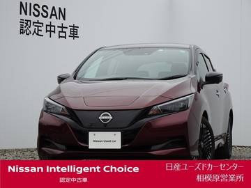 X Vセレクション 40kwh・ナビ・プロパイロット・寒冷地仕様