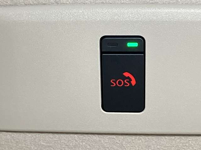 複数画像50