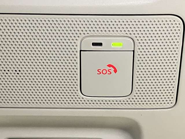 複数画像30