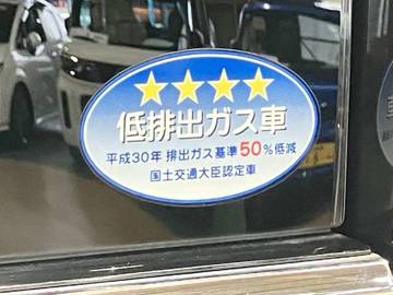 複数画像51