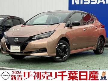 e+ X 当社試乗車UP