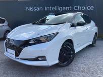 日産 リーフ e+ G コネクトナビ アラウンドビュー プロパイ