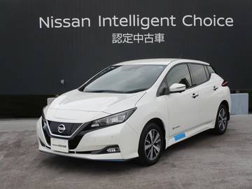 e+ X プロパイロット+BSW+RCTA+LI+DA+Pブレーキ+