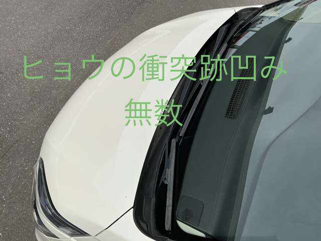 複数画像31