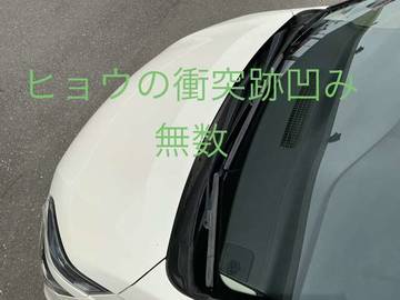 複数画像31
