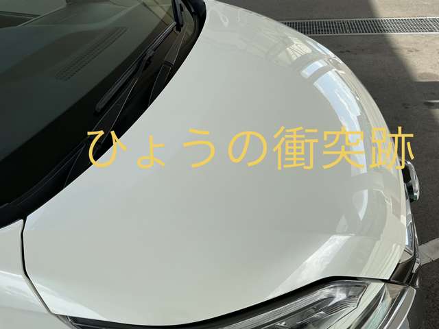 複数画像31