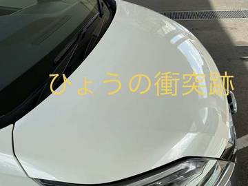 複数画像31