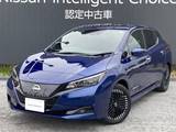 日産 リーフ X Vセレクション ナビ プロパイ ドラレコ 寒冷地 社有車UP