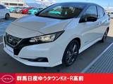 日産 リーフ アーバンクロム 当社社用車2トーン色　充電ケーブルアリ