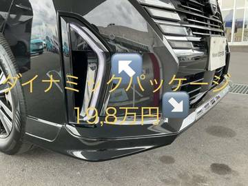 複数画像30