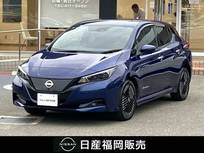 日産 リーフ X Vセレクション プロパイロット　全方位カメラ
