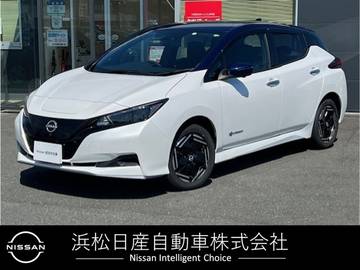 e+ X 60kwh 寒冷地　ナビ