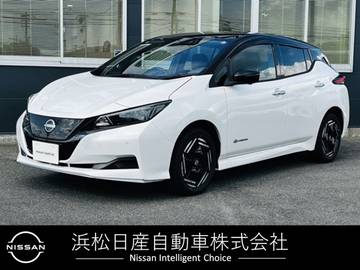 e+ X 60kwh アラウンドビュープロパイ　寒冷地