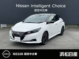 日産 リーフ X Vセレクション プロパイロット　12セグメント