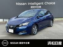 日産 リーフ X 12セグメント