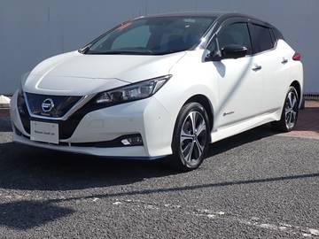 e+ G 本革シート　プロパイ　エマブレ　Sミラー