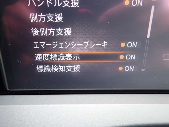 複数画像11