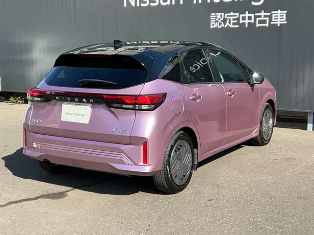複数画像51